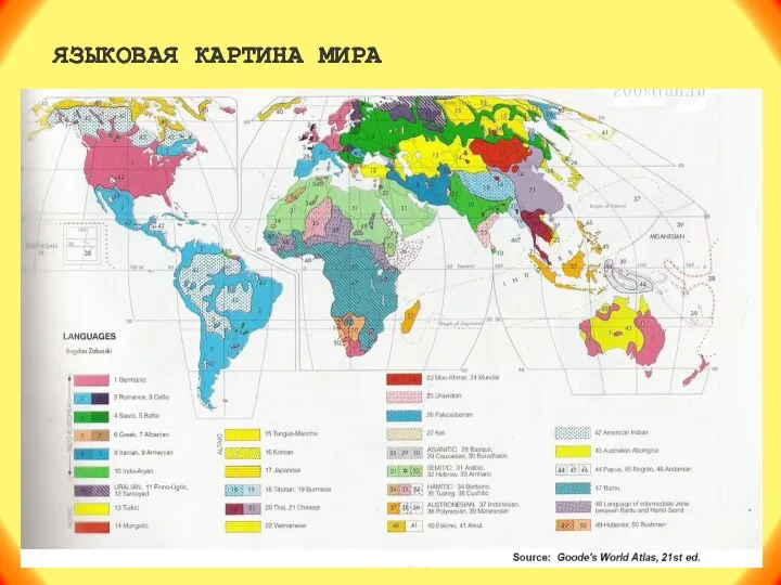 ЯЗЫКОВАЯ КАРТИНА МИРА