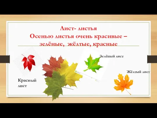 Лист- листья Осенью листья очень красивые – зелёные, жёлтые, красные Зелёный лист Жёлтый лист Красный лист