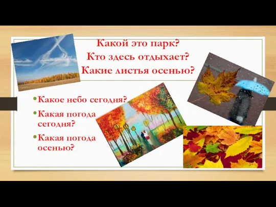 Какой это парк? Кто здесь отдыхает? Какие листья осенью? Какое небо сегодня?