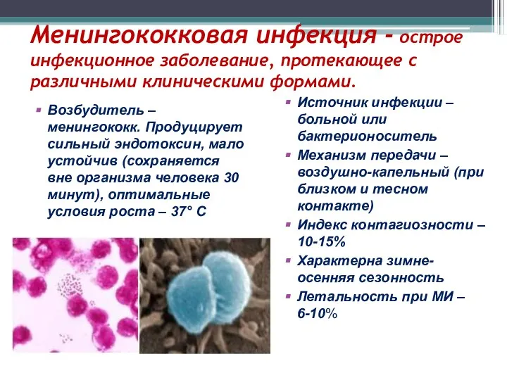 Менингококковая инфекция - острое инфекционное заболевание, протекающее с различными клиническими формами. Возбудитель