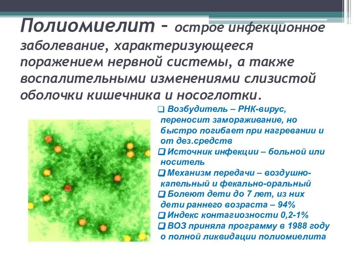 Полиомиелит – острое инфекционное заболевание, характеризующееся поражением нервной системы, а также воспалительными