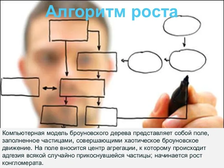 Компьютерная модель броуновского дерева представляет собой поле, заполненное частицами, совершающими хаотическое броуновское