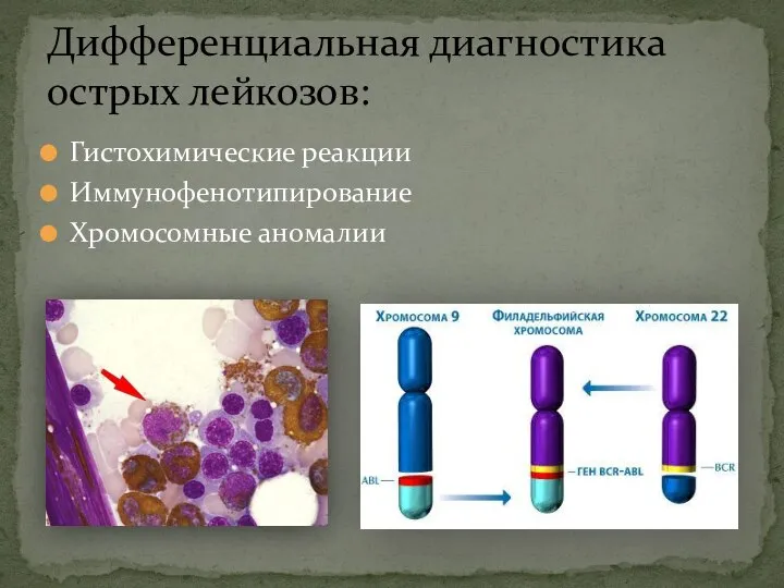 Гистохимические реакции Иммунофенотипирование Хромосомные аномалии Дифференциальная диагностика острых лейкозов: