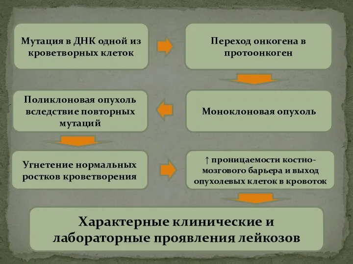 Мутация в ДНК одной из кроветворных клеток Переход онкогена в протоонкоген Моноклоновая