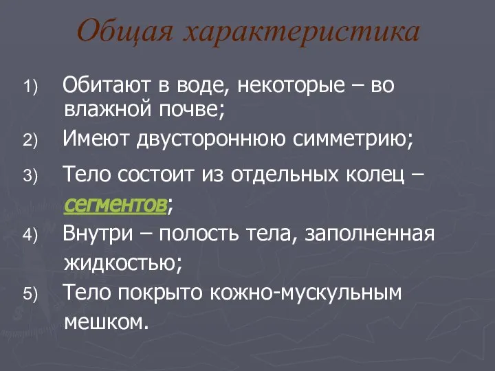 Общая характеристика Обитают в воде, некоторые – во влажной почве; Имеют двустороннюю