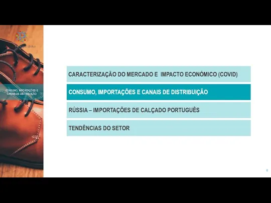 CARACTERIZAÇÃO DO MERCADO E IMPACTO ECONÓMICO (COVID) CONSUMO, IMPORTAÇÕES E CANAIS DE