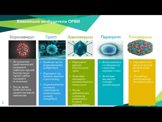 Большинство представителей вызывают инфекции верхний дыхательных путей и редко вызывают осложнения Тем