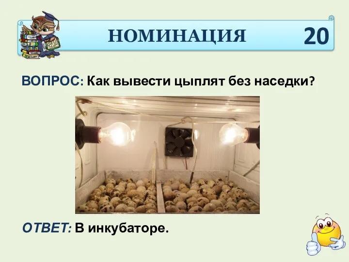 НОМИНАЦИЯ ВОПРОС: Как вывести цыплят без наседки? ОТВЕТ: В инкубаторе. 20