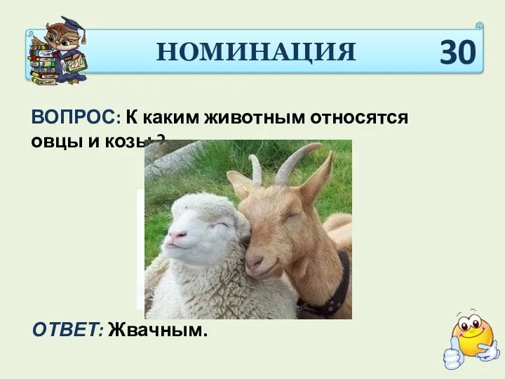 НОМИНАЦИЯ ВОПРОС: К каким животным относятся овцы и козы ? ОТВЕТ: Жвачным. 30