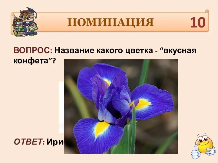 НОМИНАЦИЯ ВОПРОС: Название какого цветка - “вкусная конфета”? ОТВЕТ: Ирис. 10