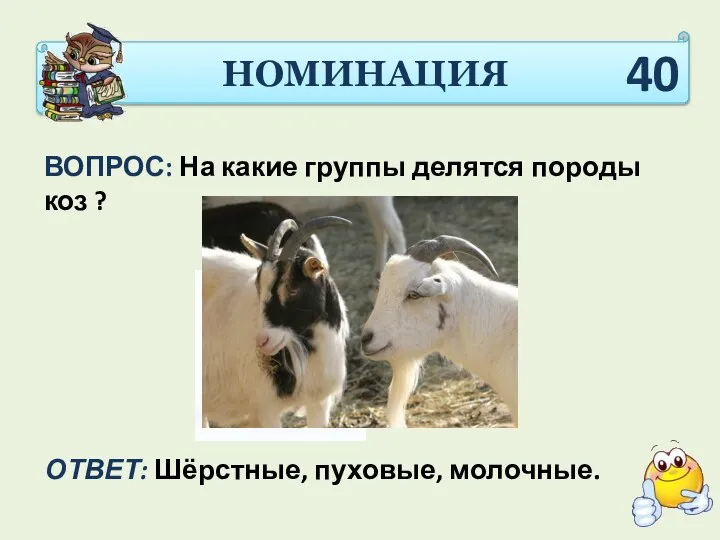 НОМИНАЦИЯ ВОПРОС: На какие группы делятся породы коз ? ОТВЕТ: Шёрстные, пуховые, молочные. 40