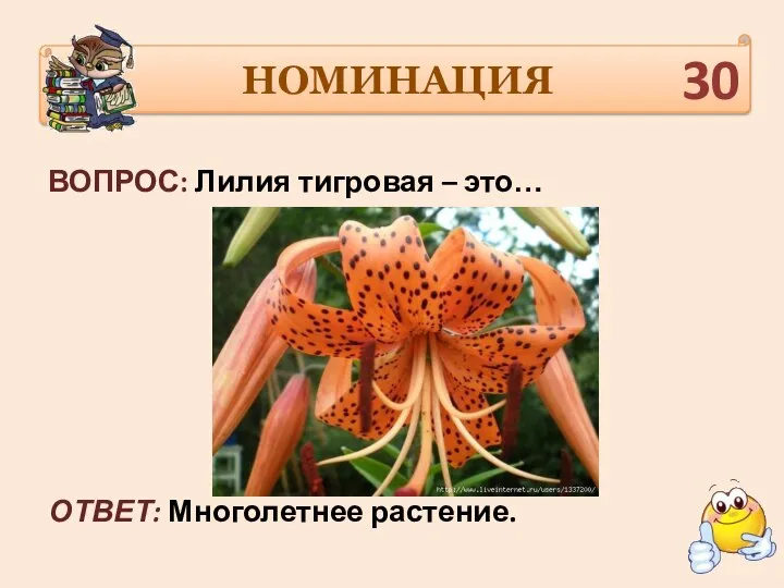 НОМИНАЦИЯ ВОПРОС: Лилия тигровая – это… ОТВЕТ: Многолетнее растение. 30