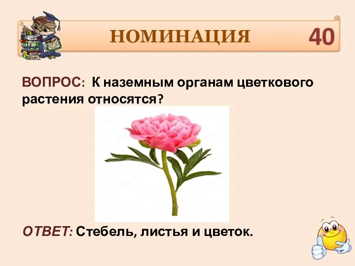 НОМИНАЦИЯ ВОПРОС: К наземным органам цветкового растения относятся? ОТВЕТ: Стебель, листья и цветок. 40