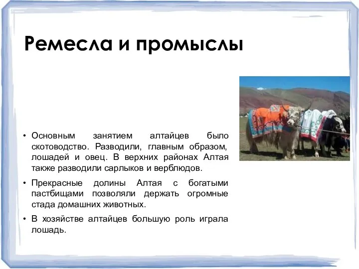 Скотоводство Основным занятием алтайцев было скотоводство. Разводили, главным образом, лошадей и овец.