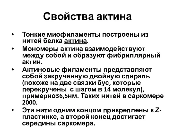 Свойства актина Тонкие миофиламенты построены из нитей белка актина. Мономеры актина взаимодействуют