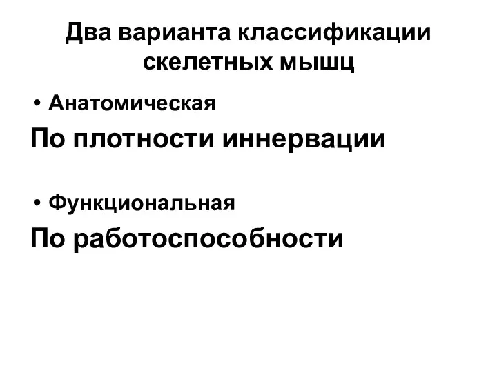 Два варианта классификации скелетных мышц Анатомическая По плотности иннервации Функциональная По работоспособности