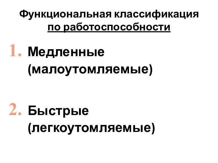 Функциональная классификация по работоспособности Медленные (малоутомляемые) Быстрые (легкоутомляемые)