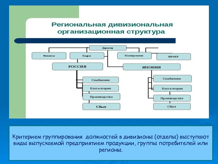 Критерием группирования должностей в дивизионы (отделы) выступают виды выпускаемой предприятием продукции, группы потребителей или регионы.