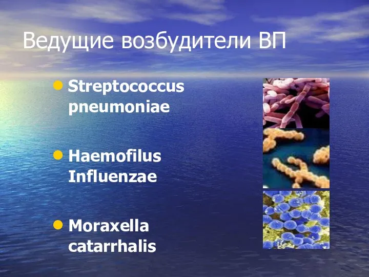 Ведущие возбудители ВП Streptococcus pneumoniae Haemofilus Influenzae Moraxella catarrhalis