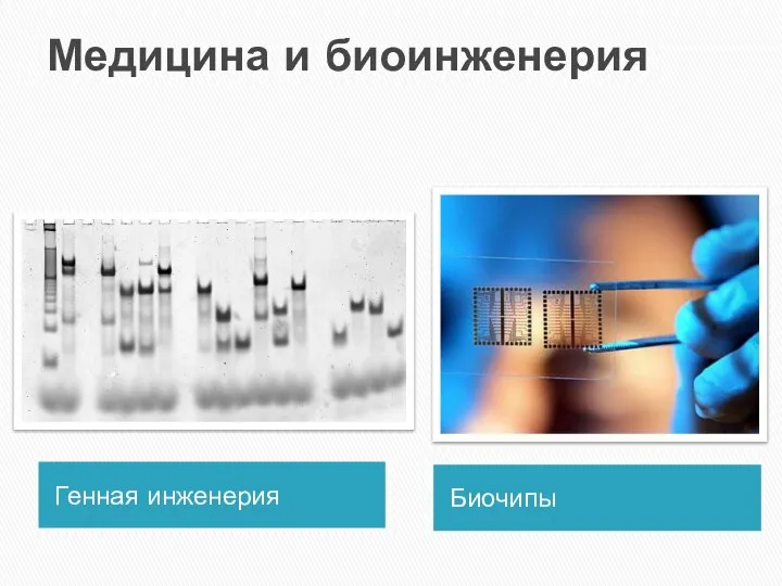 Медицина и биоинженерия Генная инженерия Биочипы