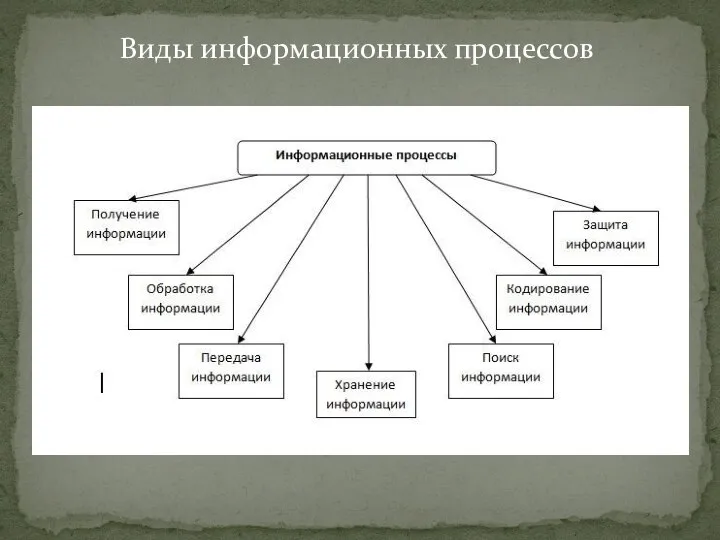 Виды информационных процессов