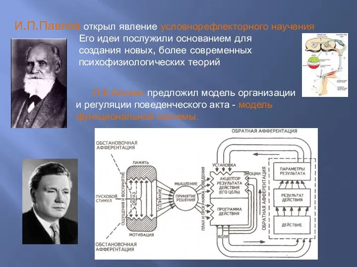 И.П.Павлов открыл явление условнорефлекторного научения Его идеи послужили основанием для создания новых,