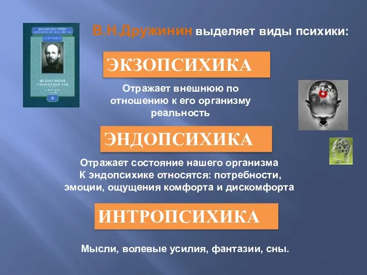 В.Н.Дружинин выделяет виды психики: ЭКЗОПСИХИКА ЭНДОПСИХИКА ИНТРОПСИХИКА Отражает внешнюю по отношению к