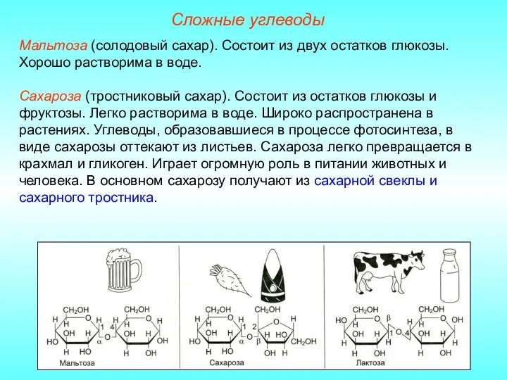 Мальтоза (солодовый сахар). Состоит из двух остатков глюкозы. Хорошо растворима в воде.