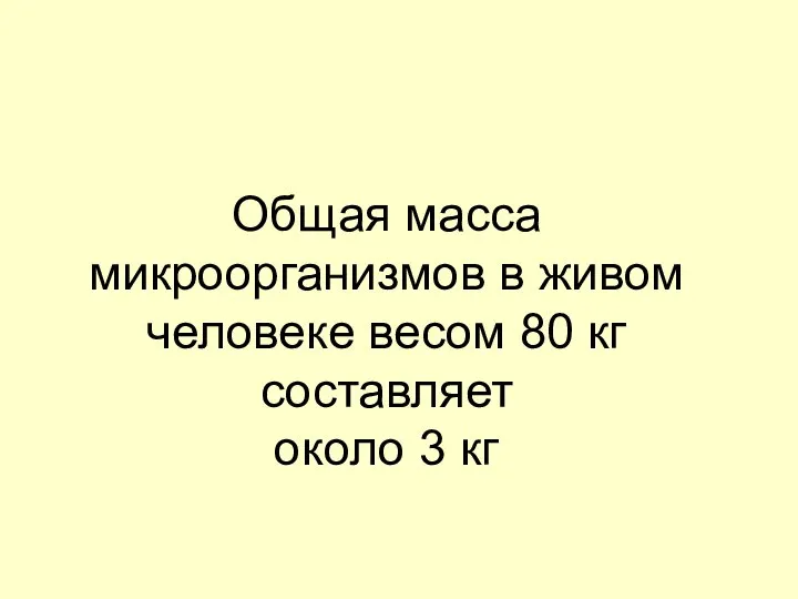 Общая масса микроорганизмов в живом человеке весом 80 кг составляет около 3 кг