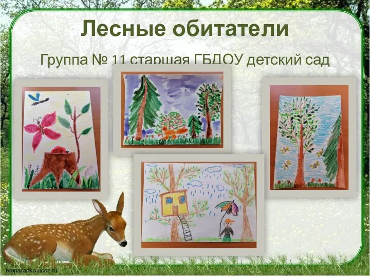 Лесные обитатели Группа № 11 старшая ГБДОУ детский сад № 30