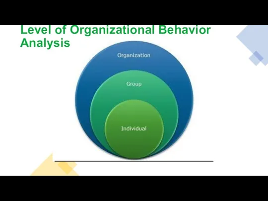Level of Organizational Behavior Analysis
