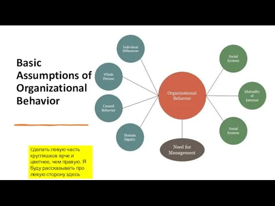 Basic Assumptions of Organizational Behavior Cделать левую часть кругляшков ярче и цветнее,