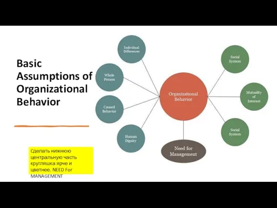 Basic Assumptions of Organizational Behavior Cделать нижнюю центральную часть кругляшка ярче и цветнее. NEED For MANAGEMENT