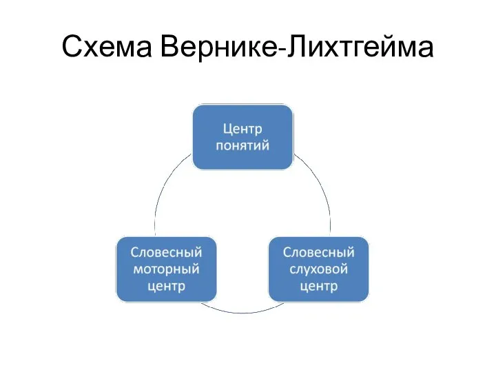 Схема Вернике-Лихтгейма