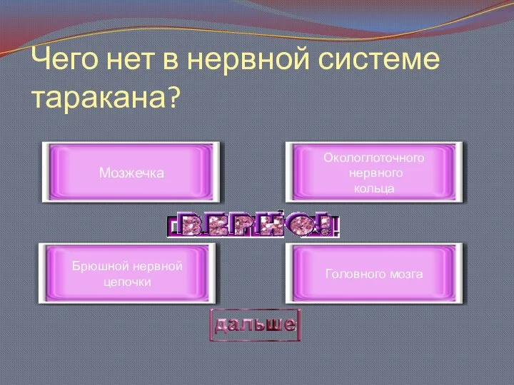 Чего нет в нервной системе таракана? Мозжечка Брюшной нервной цепочки Окологлоточного нервного кольца Головного мозга