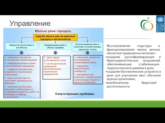 Управление Восстановление структуры и функционирования малых речных экосистем традиционно включает: создание руслоформирующих