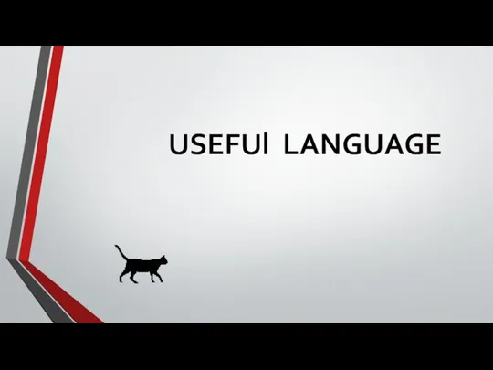USEFUl LANGUAGE