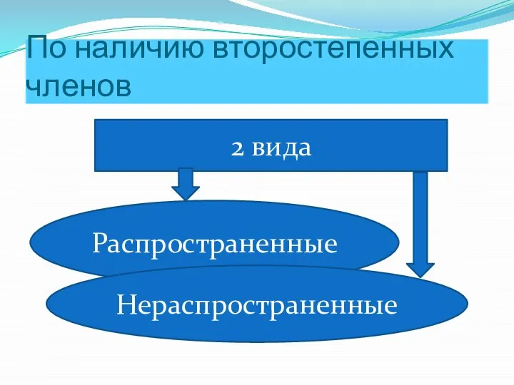 По наличию второстепенных членов 2 вида Распространенные Нераспространенные