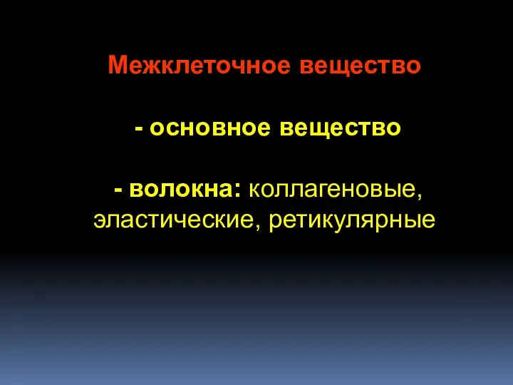 Межклеточное вещество - основное вещество - волокна: коллагеновые, эластические, ретикулярные