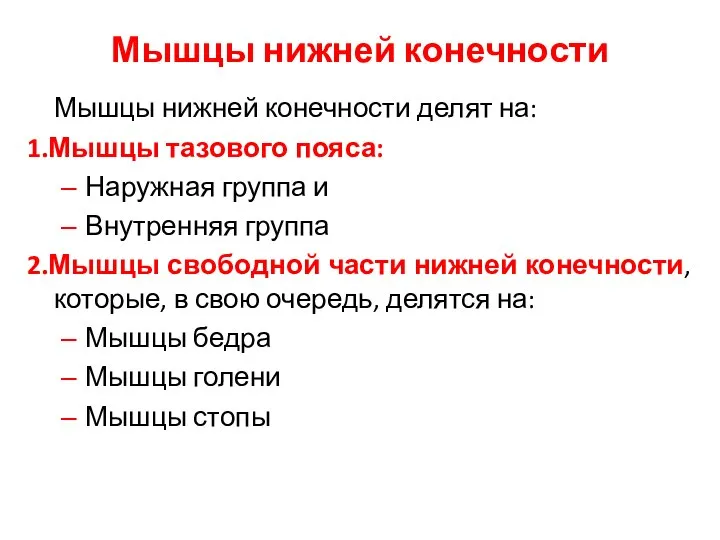 Мышцы нижней конечности Мышцы нижней конечности делят на: 1.Мышцы тазового пояса: Наружная