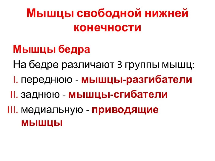 Мышцы свободной нижней конечности Мышцы бедра На бедре различают 3 группы мышц: