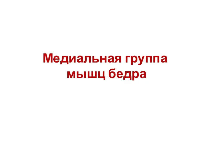 Медиальная группа мышц бедра