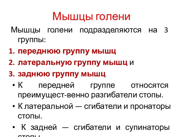 Мышцы голени Мышцы голени подразделяются на 3 группы: переднюю группу мышц латеральную