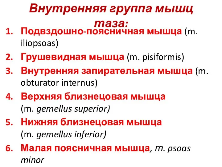 Внутренняя группа мышц таза: Подвздошно-поясничная мышца (m. iliopsoas) Грушевидная мышца (m. pisiformis)