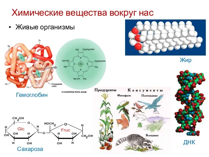 Химические вещества вокруг нас Сахароза Живые организмы Гемоглобин Жир ДНК