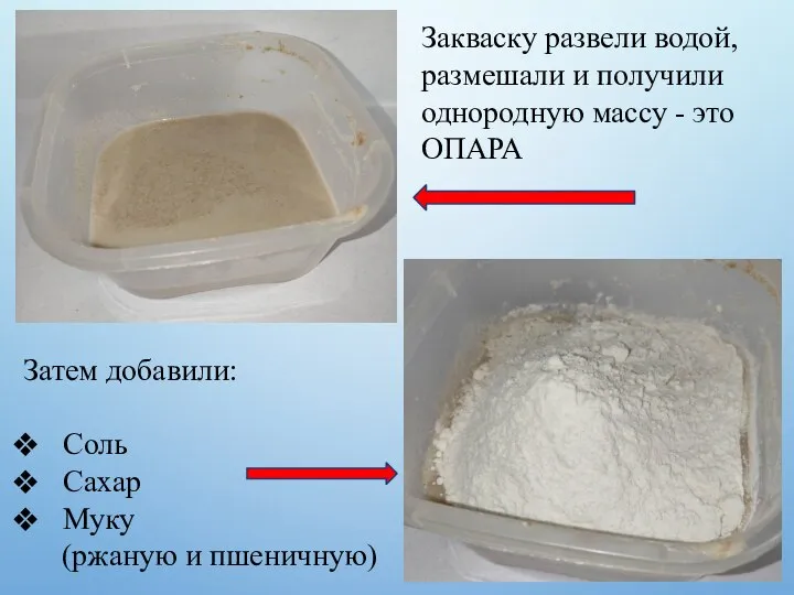 Закваску развели водой, размешали и получили однородную массу - это ОПАРА Затем