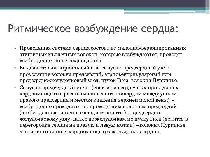 Ритмическое возбуждение сердца: Проводящая система сердца состоит из малодифференцированных атипичных мышечных волокон,