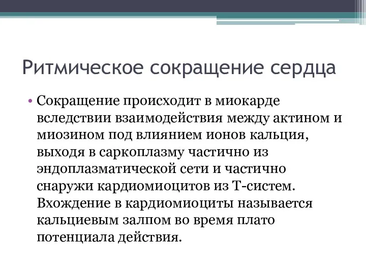 Ритмическое сокращение сердца Сокращение происходит в миокарде вследствии взаимодействия между актином и