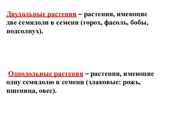 Двудольные растения – растения, имеющие две семядоли в семени (горох, фасоль, бобы,