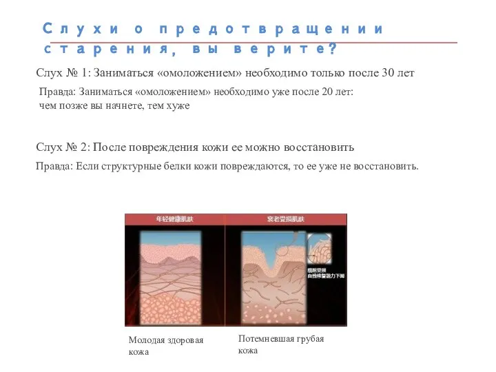 Слухи о предотвращении старения, вы верите? Слух № 1: Заниматься «омоложением» необходимо